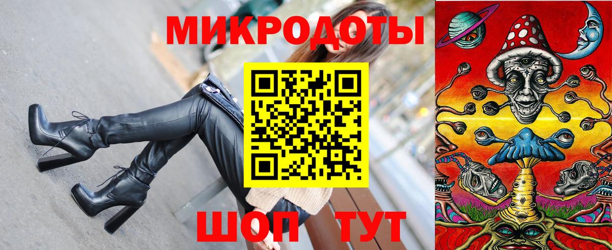 Галлюциногенные грибы Psilocybe Бийск