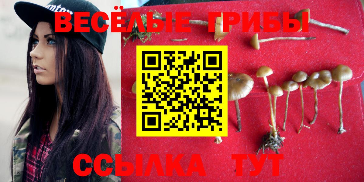 Псилоцибиновые грибы Psilocybe  Вход с VPN  Бийск 
